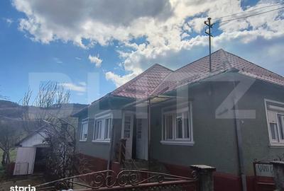 Casă cu 1 camere cu Teren 2500 Mp în Mintiu Gherlii - 3