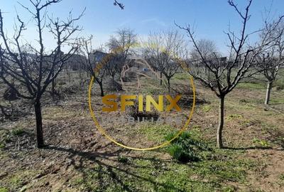 De vanzare - casa 5 camere I teren 1501mp IVidele - 19