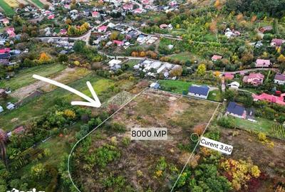 Teren de 8000 mp, în Gârleni - 4