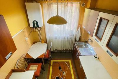 Apartament cu 2 camere în Valea Borcutului - 4