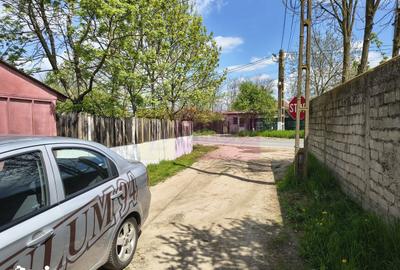 Teren de 12450 mp, în Cernica - 8