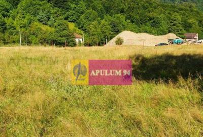 Teren Jude?ul Valcea - Brezoi, Valea lui Stan - 14