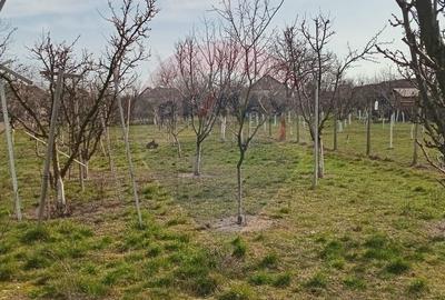 Teren Construcții intravilan de 2954 mp, în Vladimirescu - 8