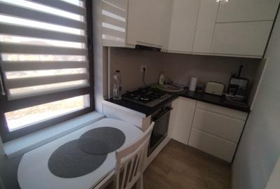 Apartament 2 camere Nicolina Newton Residence - 160960 - 5