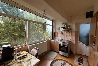 Apartament cu 2 camere,etaj 3, zona Ulpia - 8