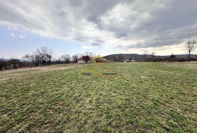 Teren Construcții intravilan de 11021 mp, în Blăgești - 9