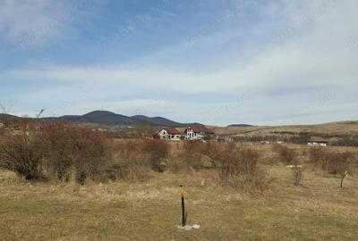 Teren în Bejan - 1