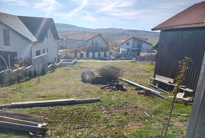 Vand teren in Chinteni - 6