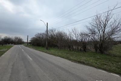 Teren de 5000 mp, în Curcani - 5