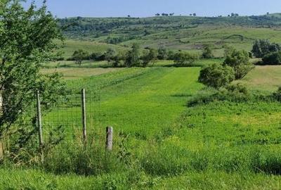 Teren de 4700 mp, în Merghindeal - 2