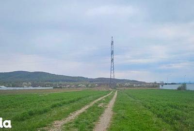 Teren de 10000 mp, în Central - 3