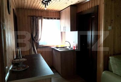 Cabana  cu teren 1364mp, zona Bucin - 20