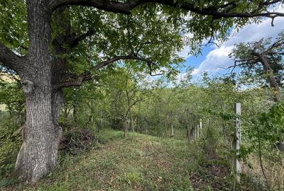 Teren de 400 mp, în Central - 4