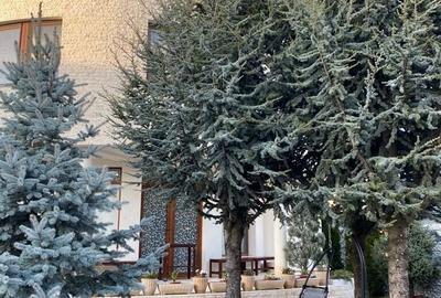 Casă individuală cu 10 camere cu Canalizare în Otopeni - 18