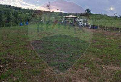 Teren Construcții intravilan de 1200 mp, în Săldăbagiu de Munte - 24