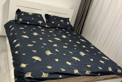 Apartament cu 3 camere decomandat în Theodor Pallady - 3
