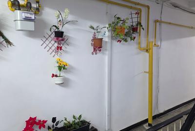 Apartament cu 3 camere decomandat în Titan - 12