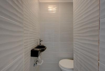 Spațiu comercial, de 50 mp, în Parcul Carol - 3