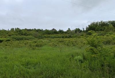 Teren Construcții intravilan de 6583 mp, în Spitalul Județean