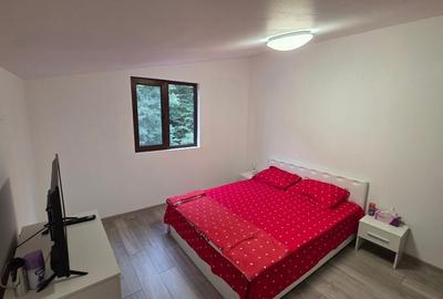 Casă P+1 golful Mraconia cu vedere la apă, 2 km de Chipul lui Decebal Casă P+1 golful Mraconia cu vedere la apă, 2 km de Chipul lui Decebal - 10