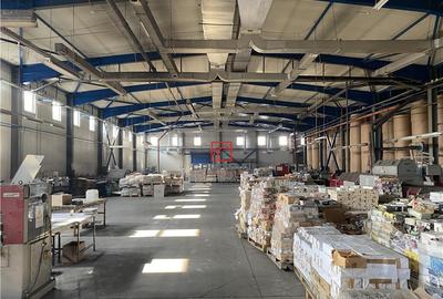 Depozit/hala/spatiu industrial Berceni - Metalurgiei, Bucur - 6