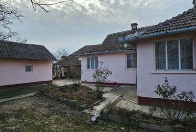 Vand casa si gradina in Satu Nou, Comuna Misca Jud, Arad - 2
