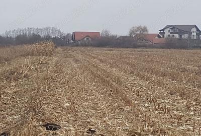 Teren Intravilan 2932 mp Stupini - 3