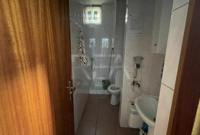 SPATIU COMERCIAL MOSILOR-OBOR COLT STRADAL - 10