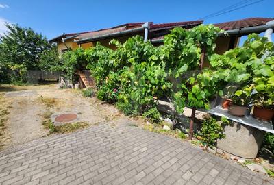 Casa individuala cu 3 camere, 371 mp,zona Centru - 18