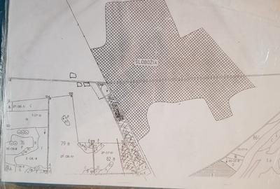 Teren intravilan 5.000 m? cu 40 m deschidere la DN2A - langa Kaufland Slobozia - 7