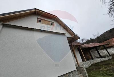 CASA 3 CAMERE SINCA NOUA / 5650 mp teren - 7