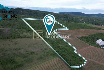 Teren Construcții extravilan de 11500 mp, în Ghioroc - 4