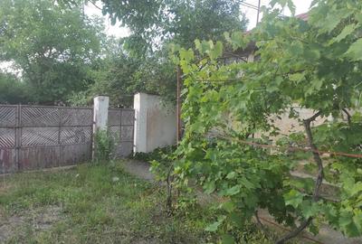 Casă cu 4 camere cu Teren 800 Mp în Licuriciu - 7