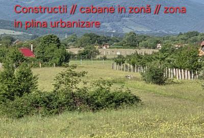Spațiu comercial, în Șelimbăr - 5