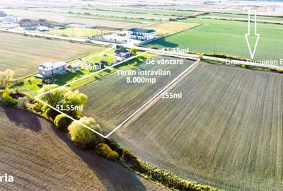 Teren de 8000 mp, în Botiz - 5