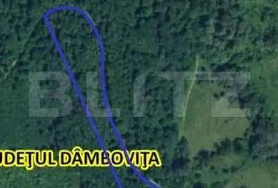 Teren extravilan 16 ha cu padure ?i vedere panoramica Razvad - 3