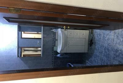 Apartament cu 2 camere decomandat în Lacul Tei - 5