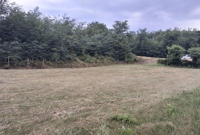 Spațiu comercial, în Mierea - 3