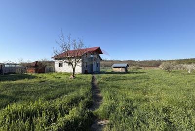 Casă cu 3 camere cu Teren 8774 Mp în Albota - 31