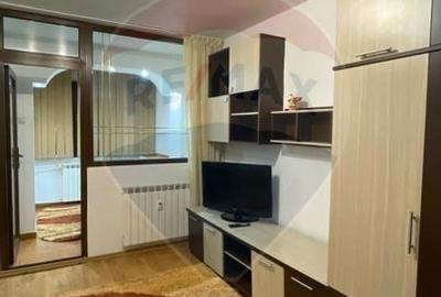 Apartament cu 1 camera de inchiriat in zona Brazda lui Novac - 3