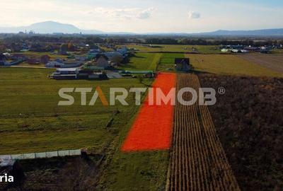 Teren de 3000 mp, în Bod - 3