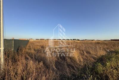 Teren Intravilan | 706mp | Front 16ml | Zona Mosnita Noua - 2