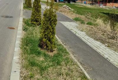 Casă cu 5 camere în Jibou - 7