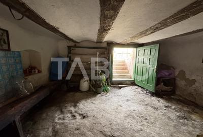 Casa individuala 60 mpu 974 m teren sat Armeni Sibiu - 14