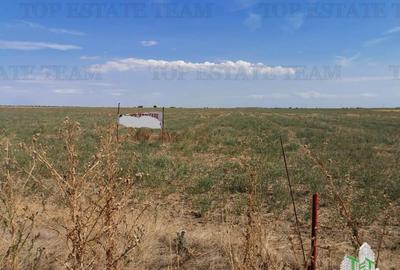 Teren zona Next Dovinot, Mihailesti DN6 5619mp D - 41.50m - 3