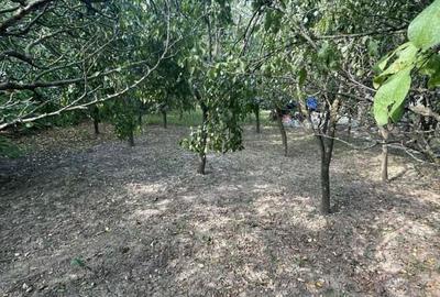 Teren intravilan de vanzare, 900 mp, Dej - 8