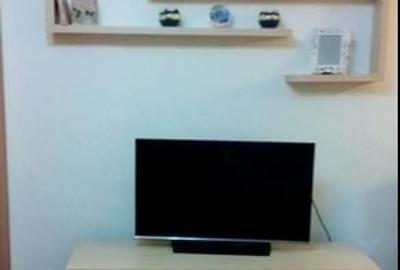 Garsoniera,Iancului,Elev Stefanescu,bl.1981,reabilitat,Amenajata,Liber - 3