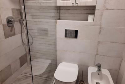 Apartament cu 2 camere în Valea Moșneagului - 2