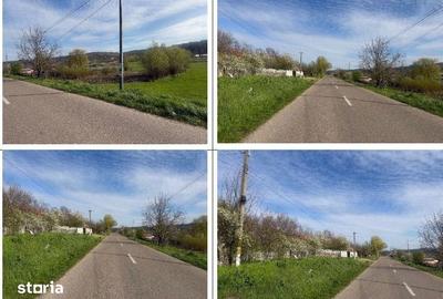 Casă cu 3 camere cu Teren 3633 Mp în Delești - 1