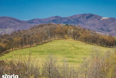 Teren de 40001 mp, în Teișani